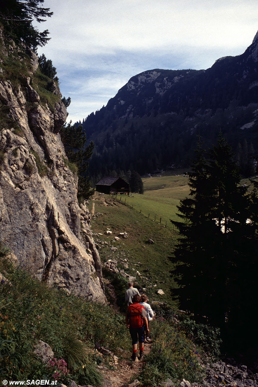 Beim Bergwandern in den Alpen