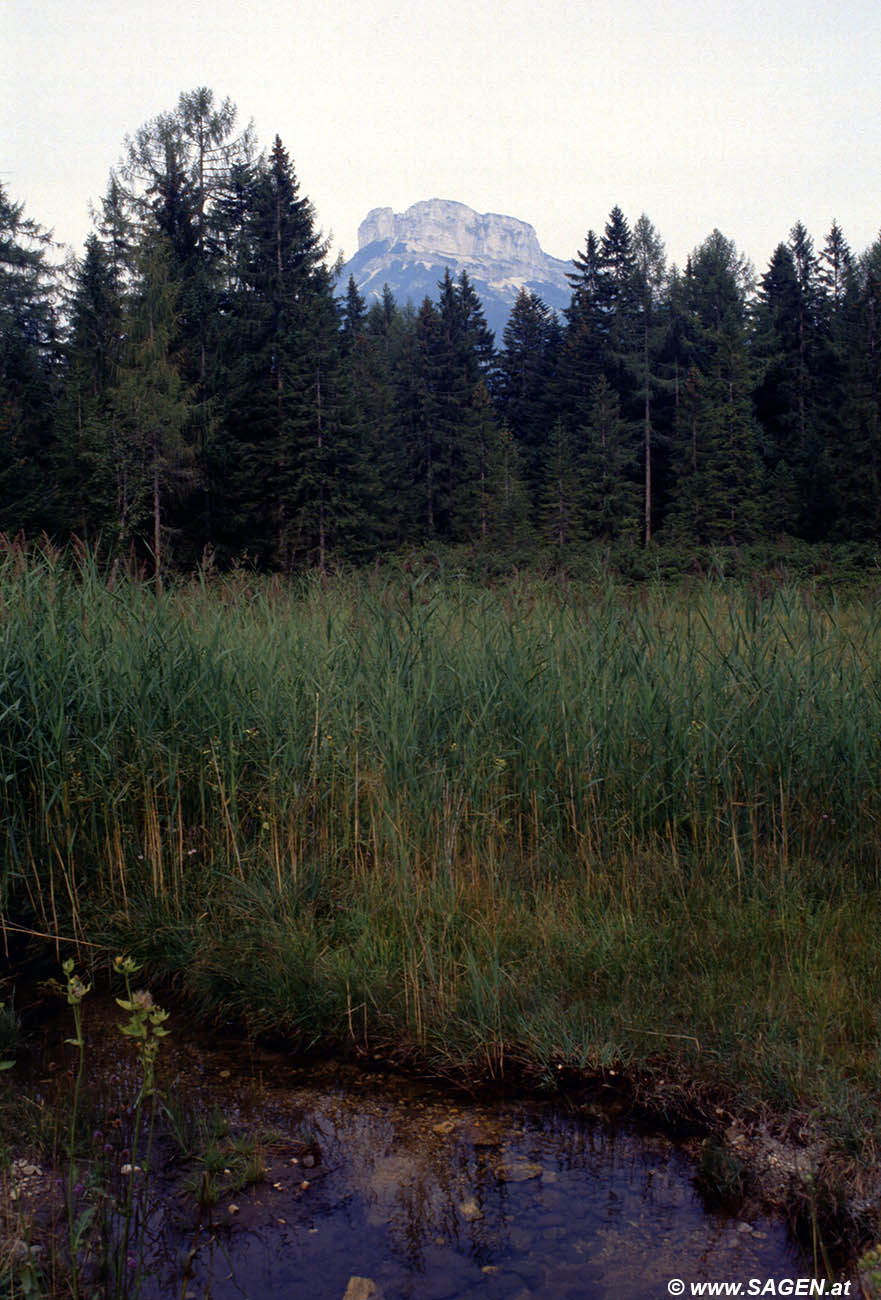 Beim Bergwandern in den Alpen