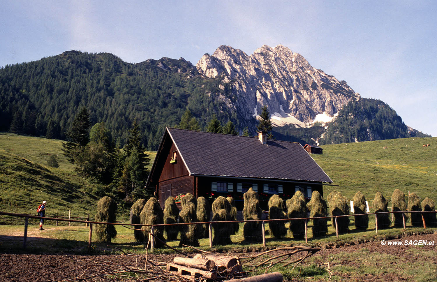 Beim Bergwandern in den Alpen