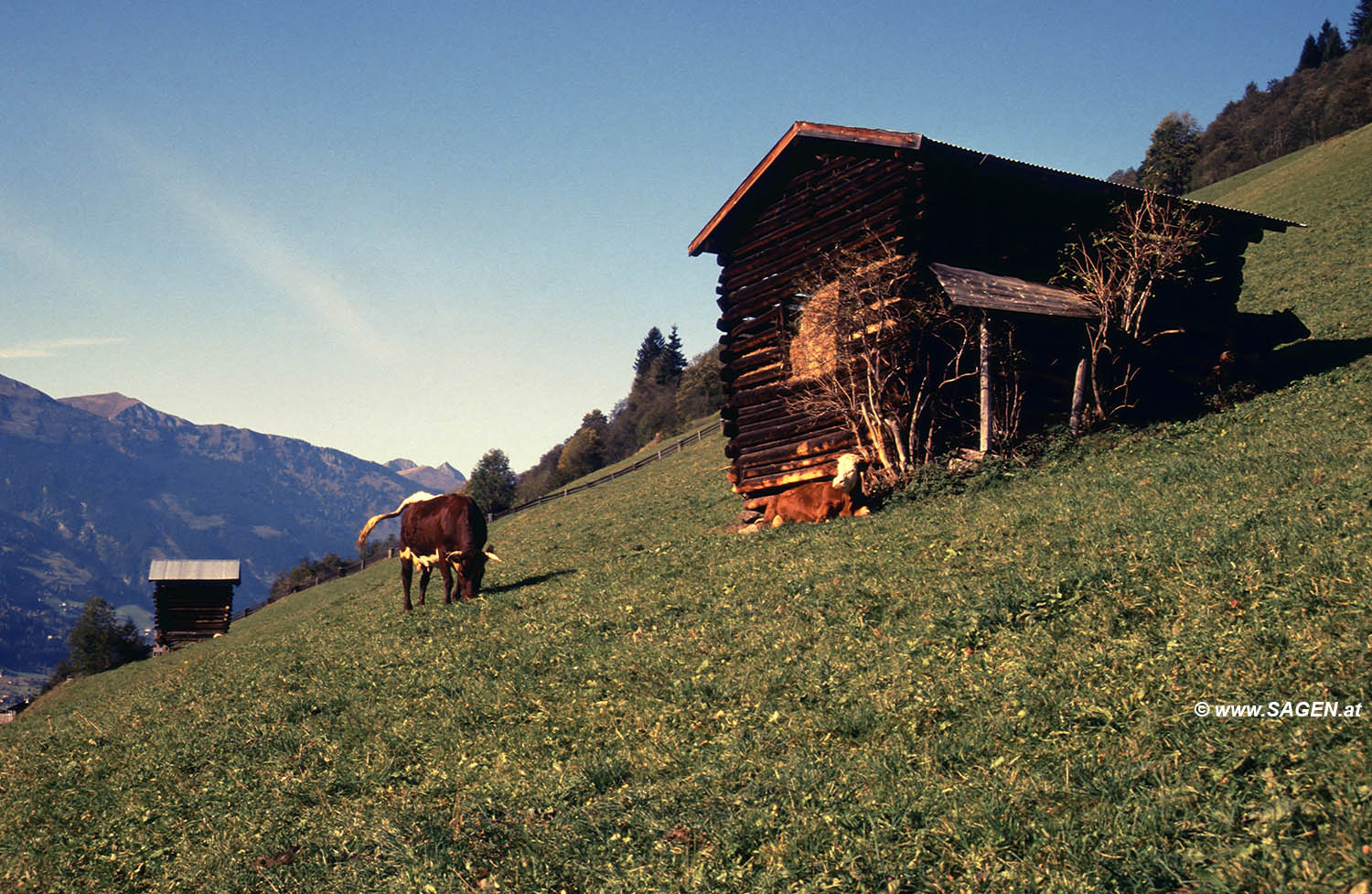 Beim Bergwandern in den Alpen