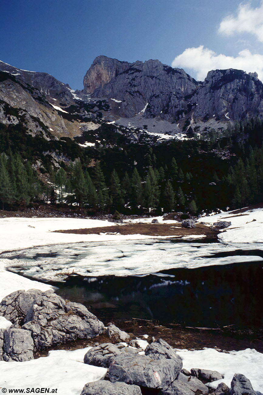 Beim Bergwandern in den Alpen