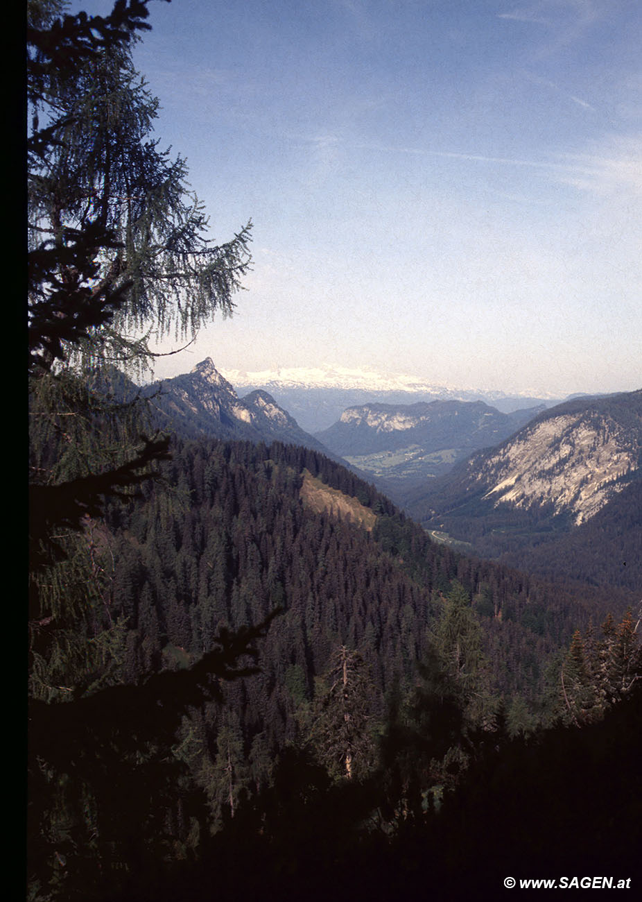 Beim Bergwandern in den Alpen