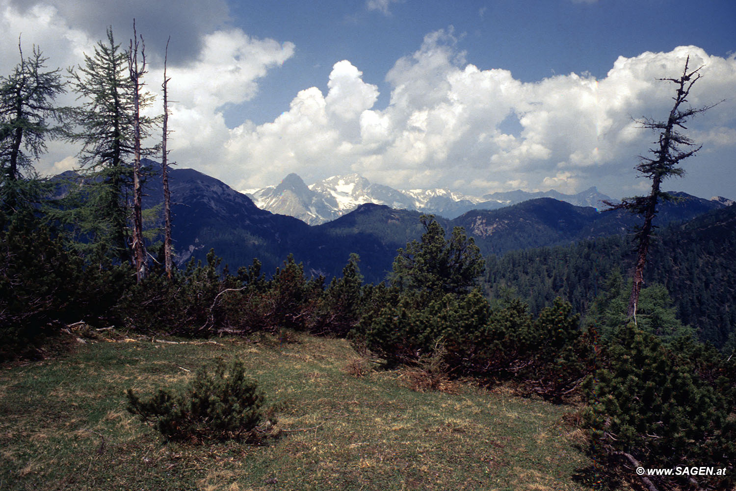 Beim Bergwandern in den Alpen