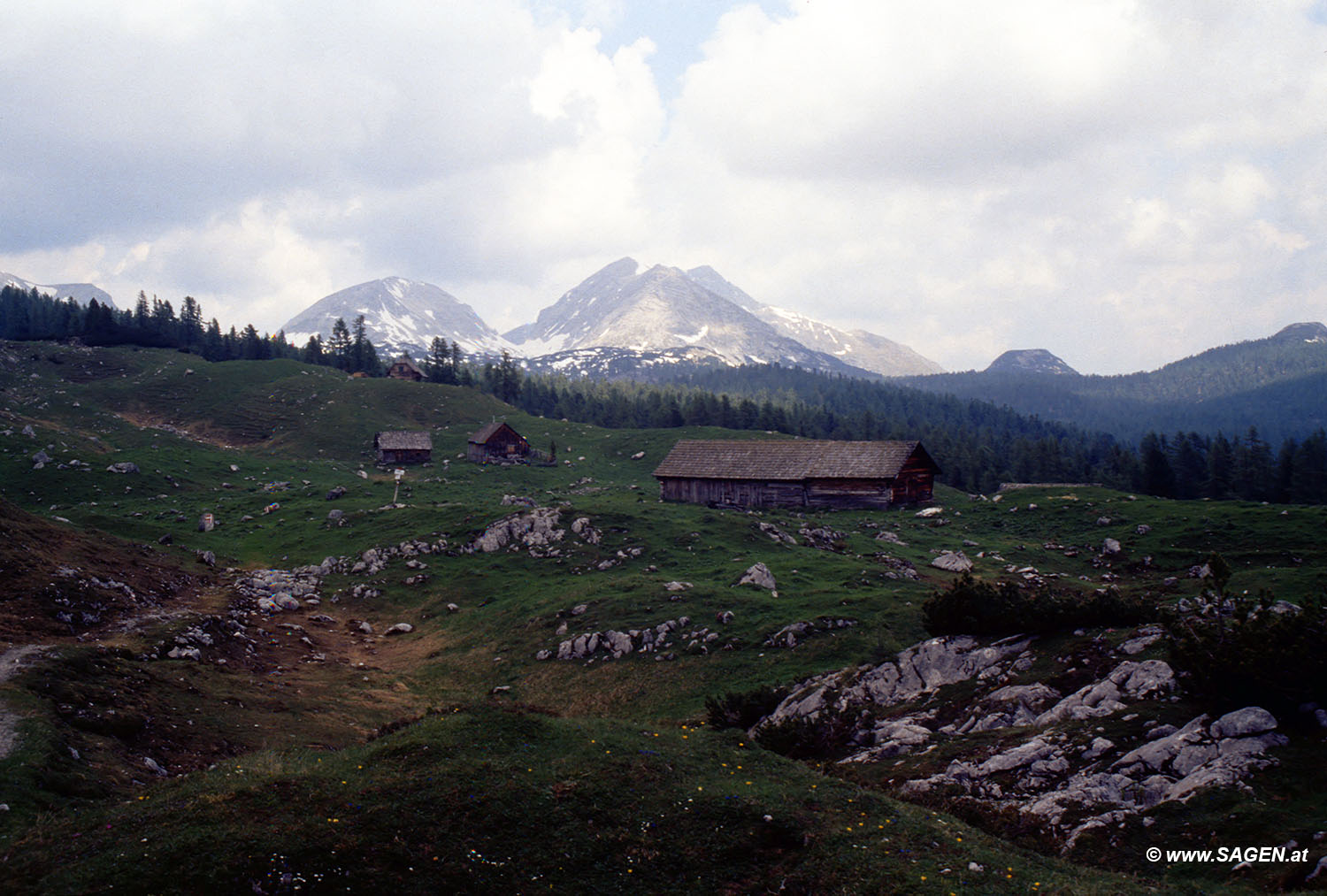 Beim Bergwandern in den Alpen