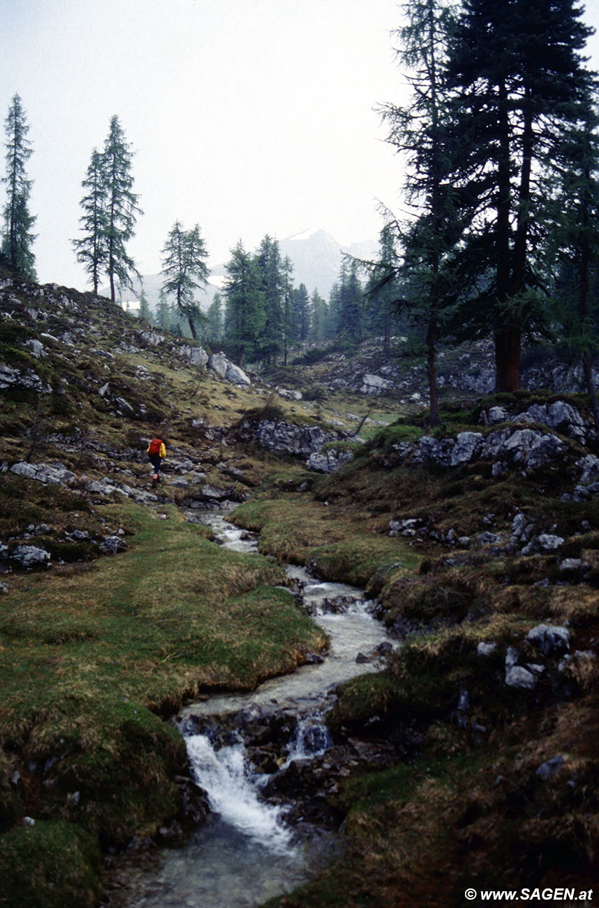 Beim Bergwandern in den Alpen