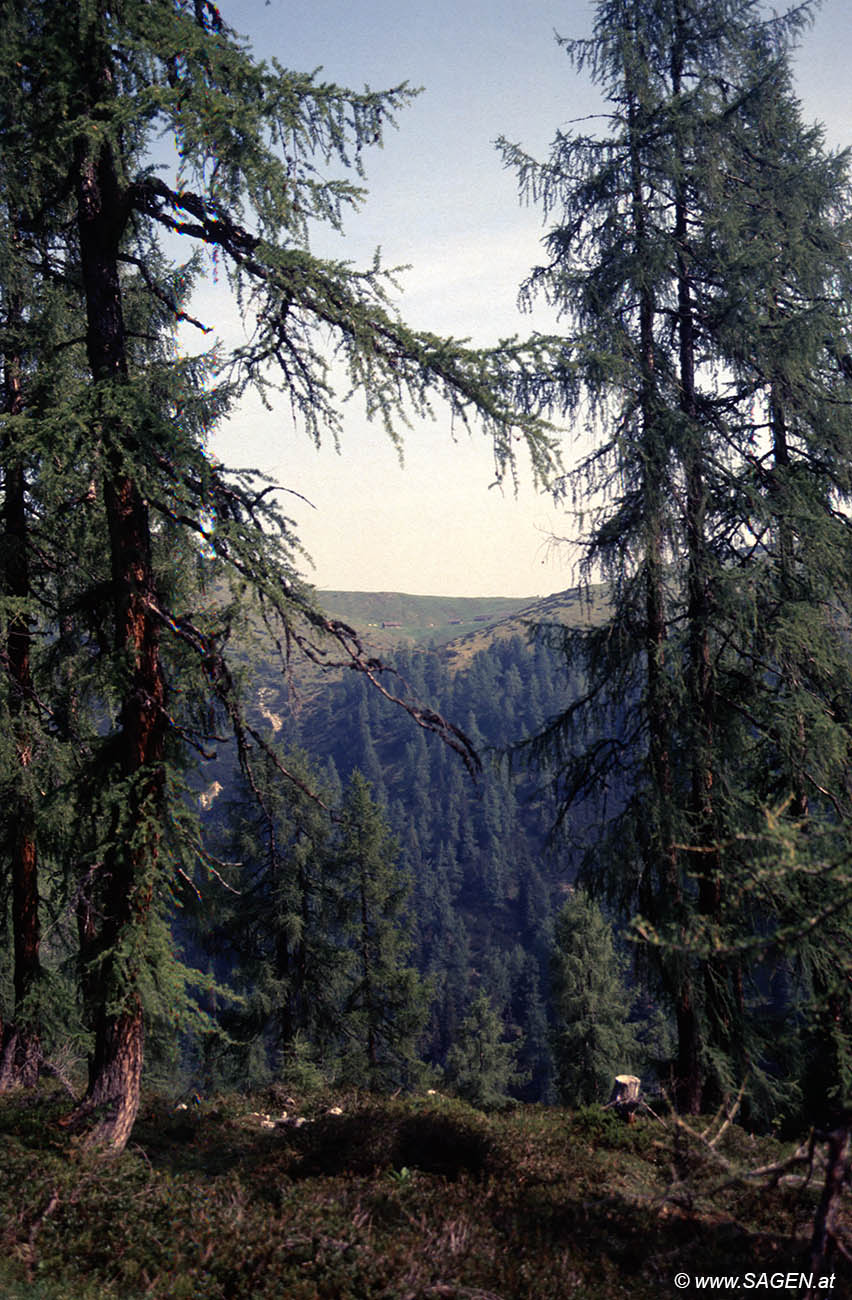 Beim Bergwandern in den Alpen