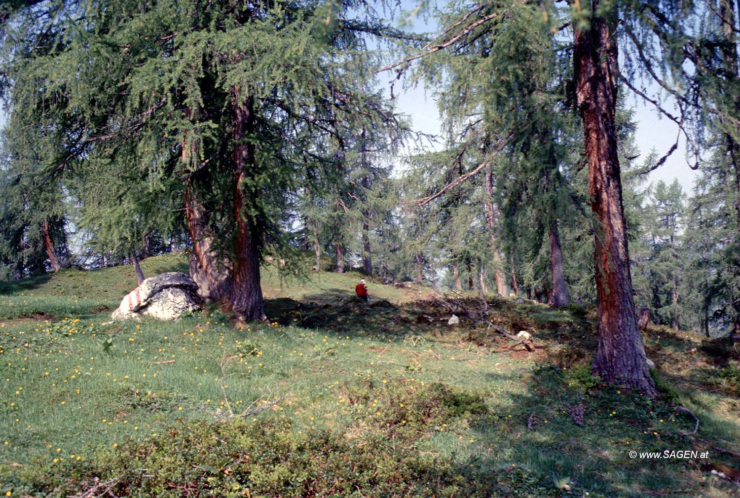 Beim Bergwandern in den Alpen