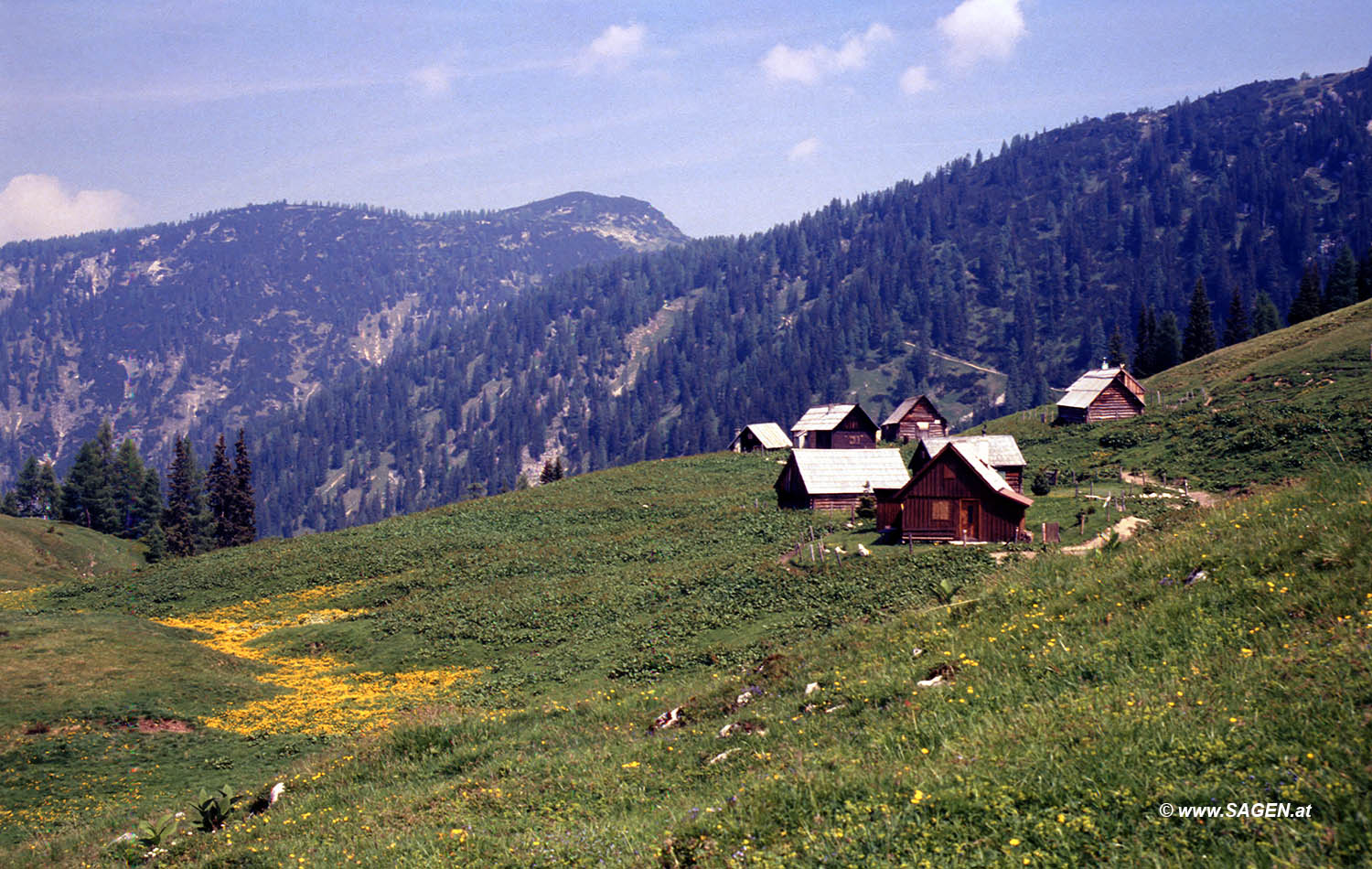 Beim Bergwandern in den Alpen