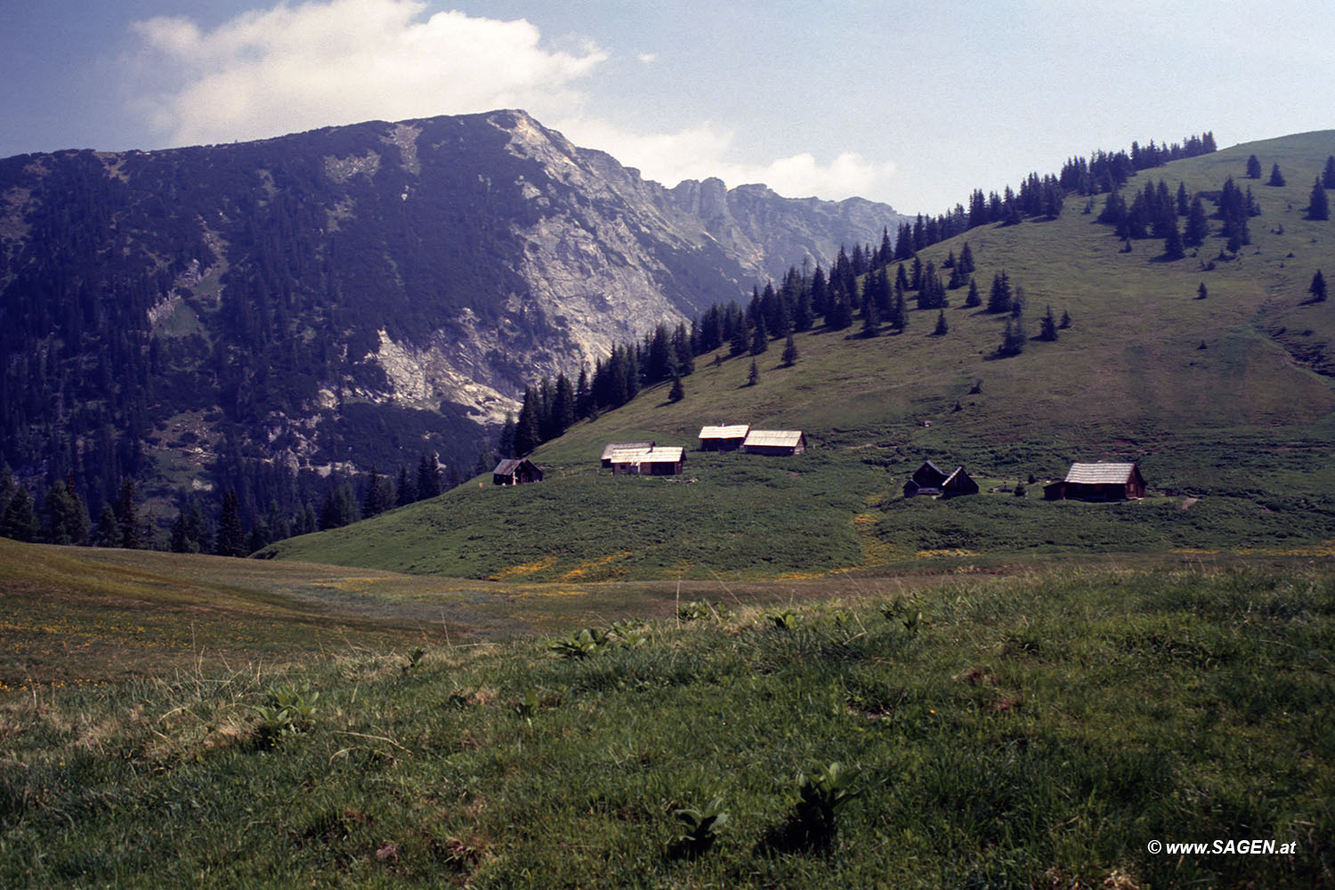 Beim Bergwandern in den Alpen