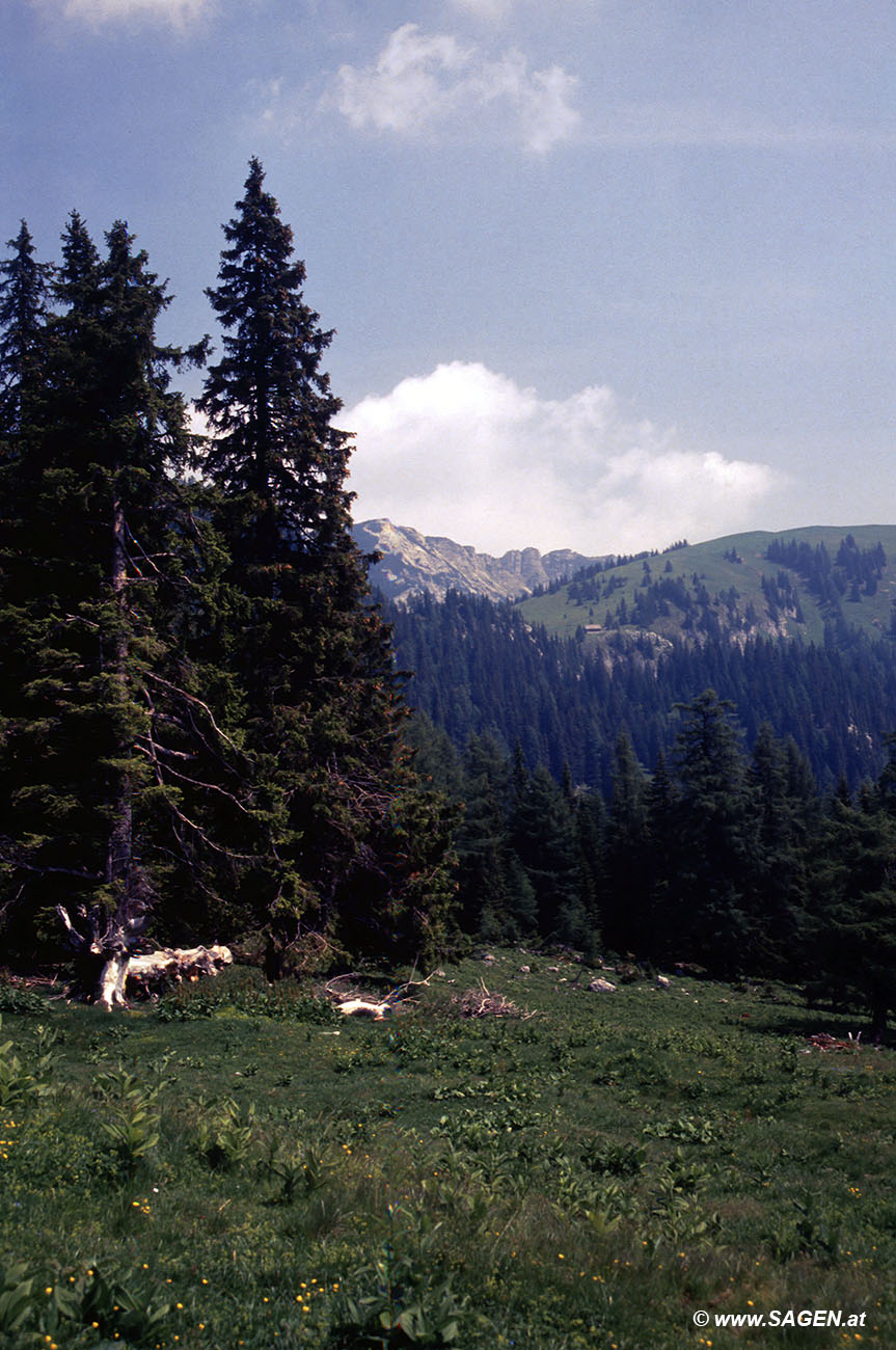 Beim Bergwandern in den Alpen