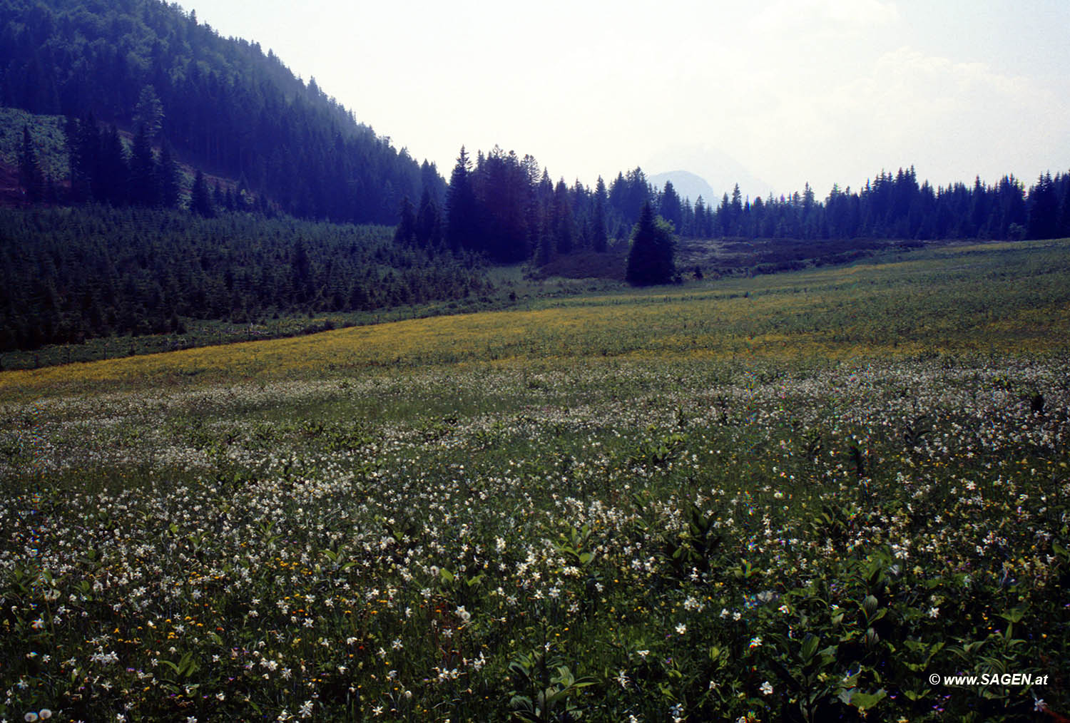 Beim Bergwandern in den Alpen