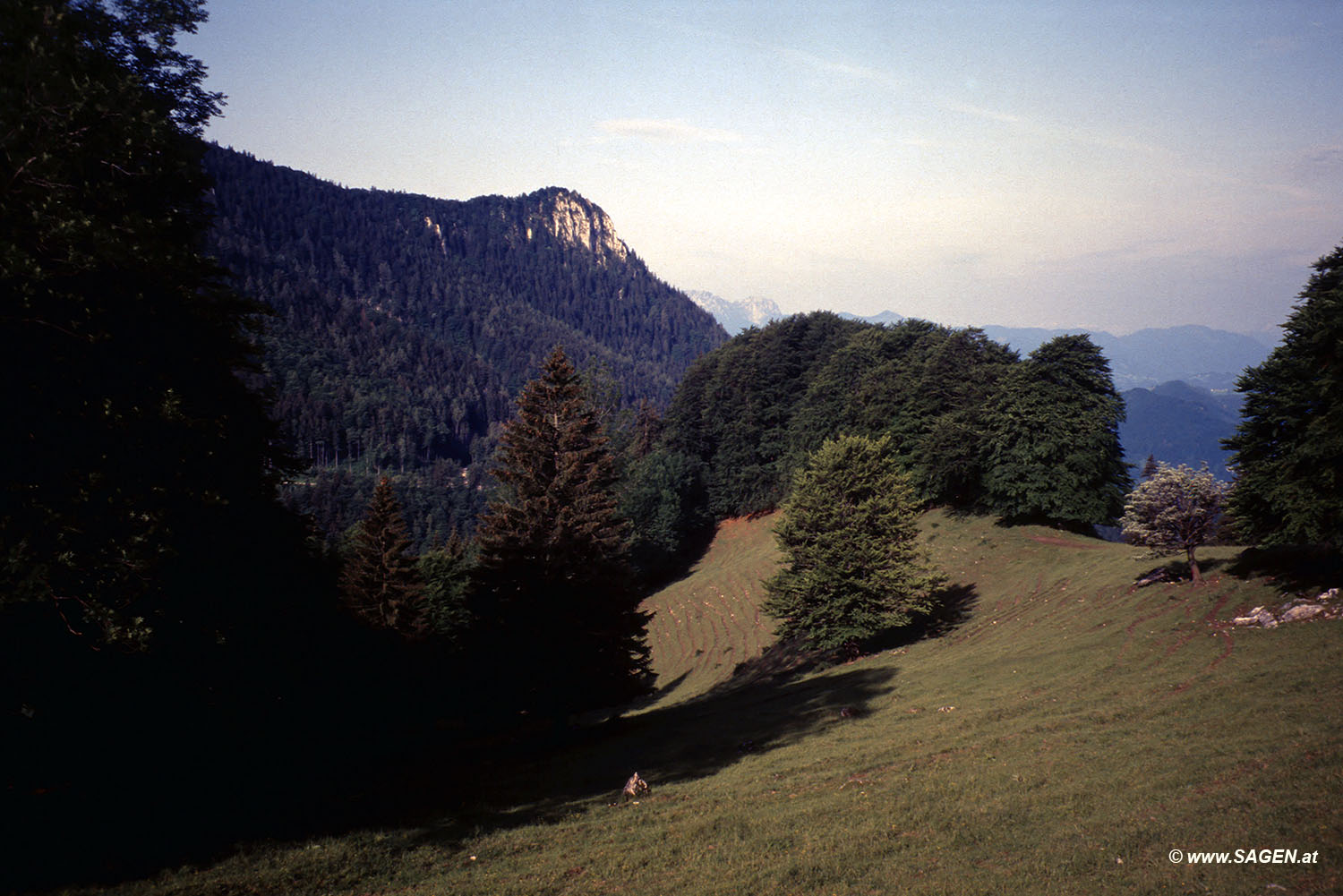 Beim Bergwandern in den Alpen