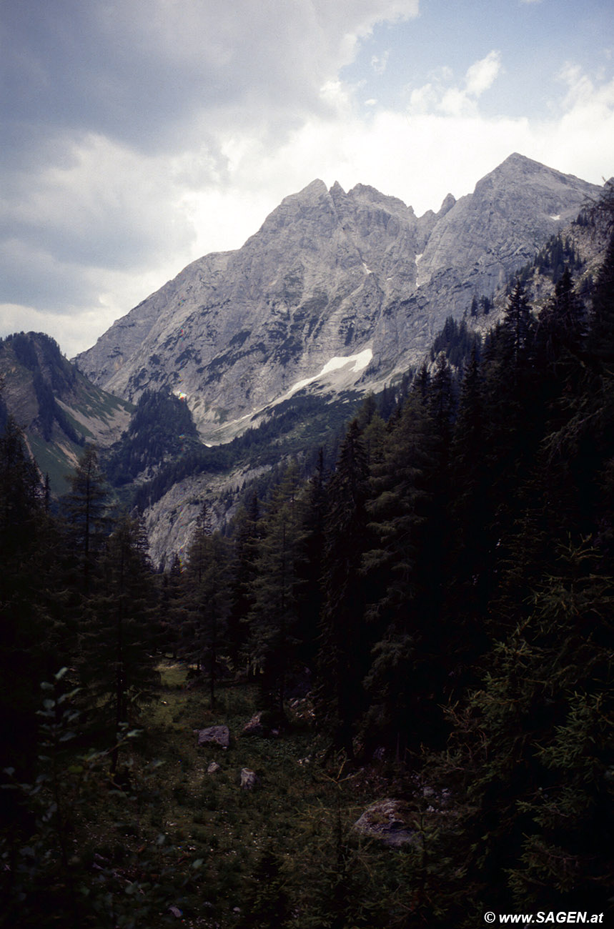 Beim Bergwandern in den Alpen