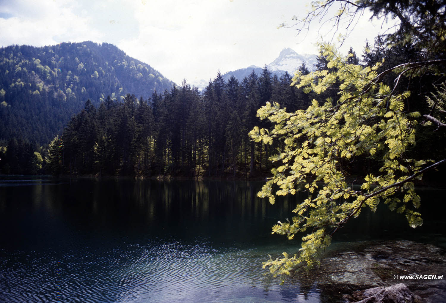 Beim Bergwandern in den Alpen