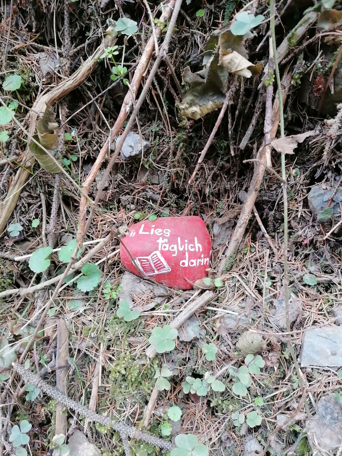 Bemalter Stein im Kotzgraben