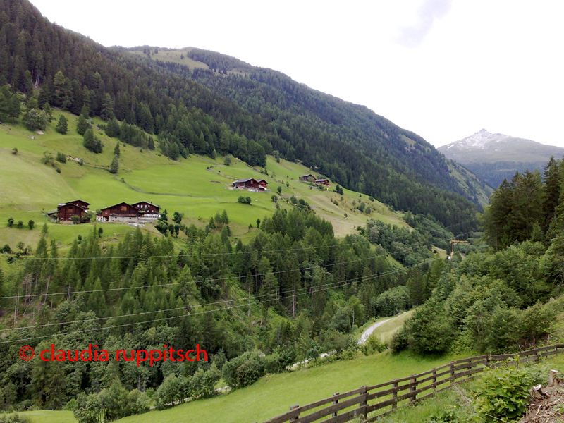 bergbauernhöfe im zirknitztal im mölltal