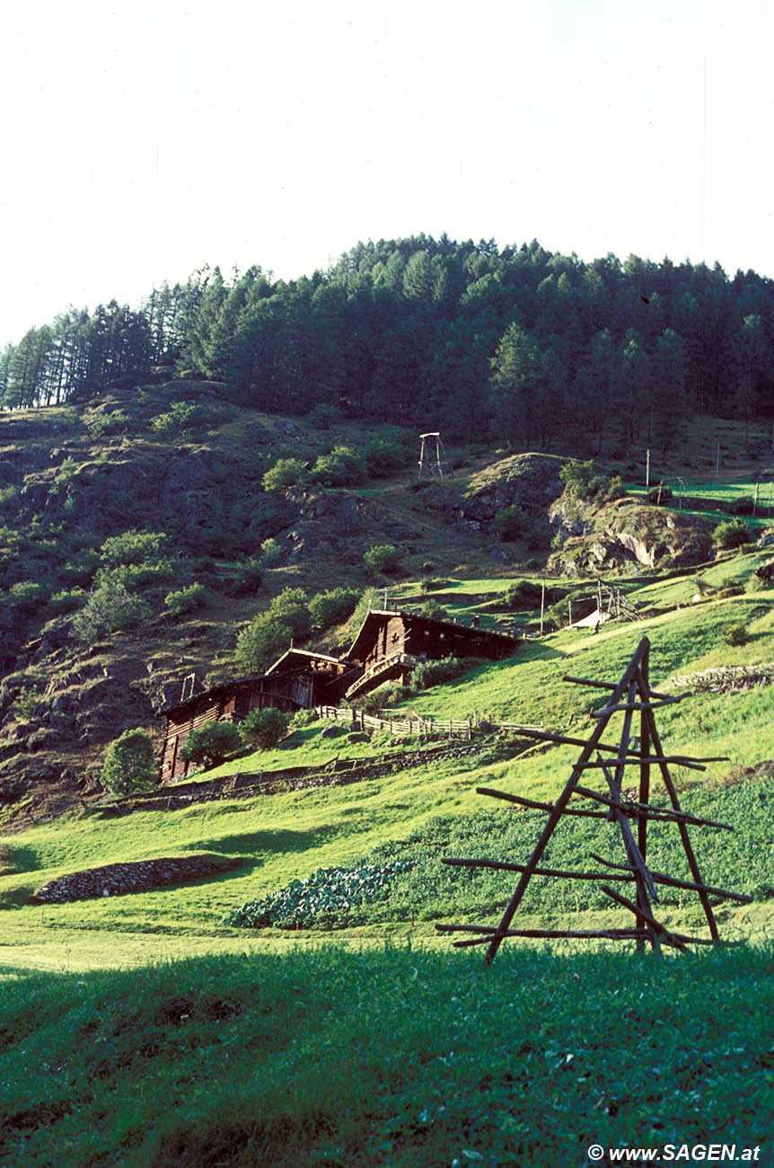 Bergbauernhof