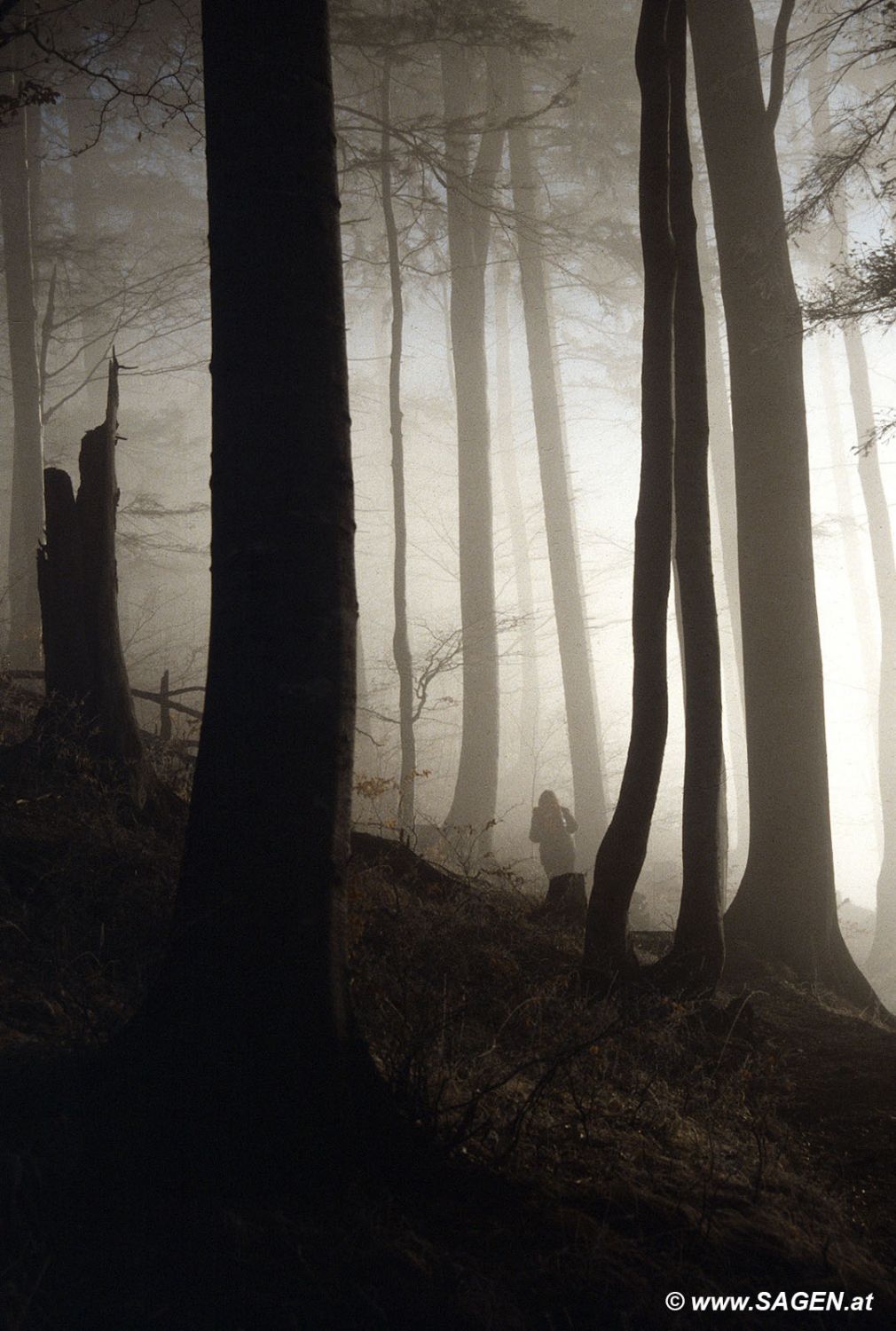 Bergwandern im Nebel