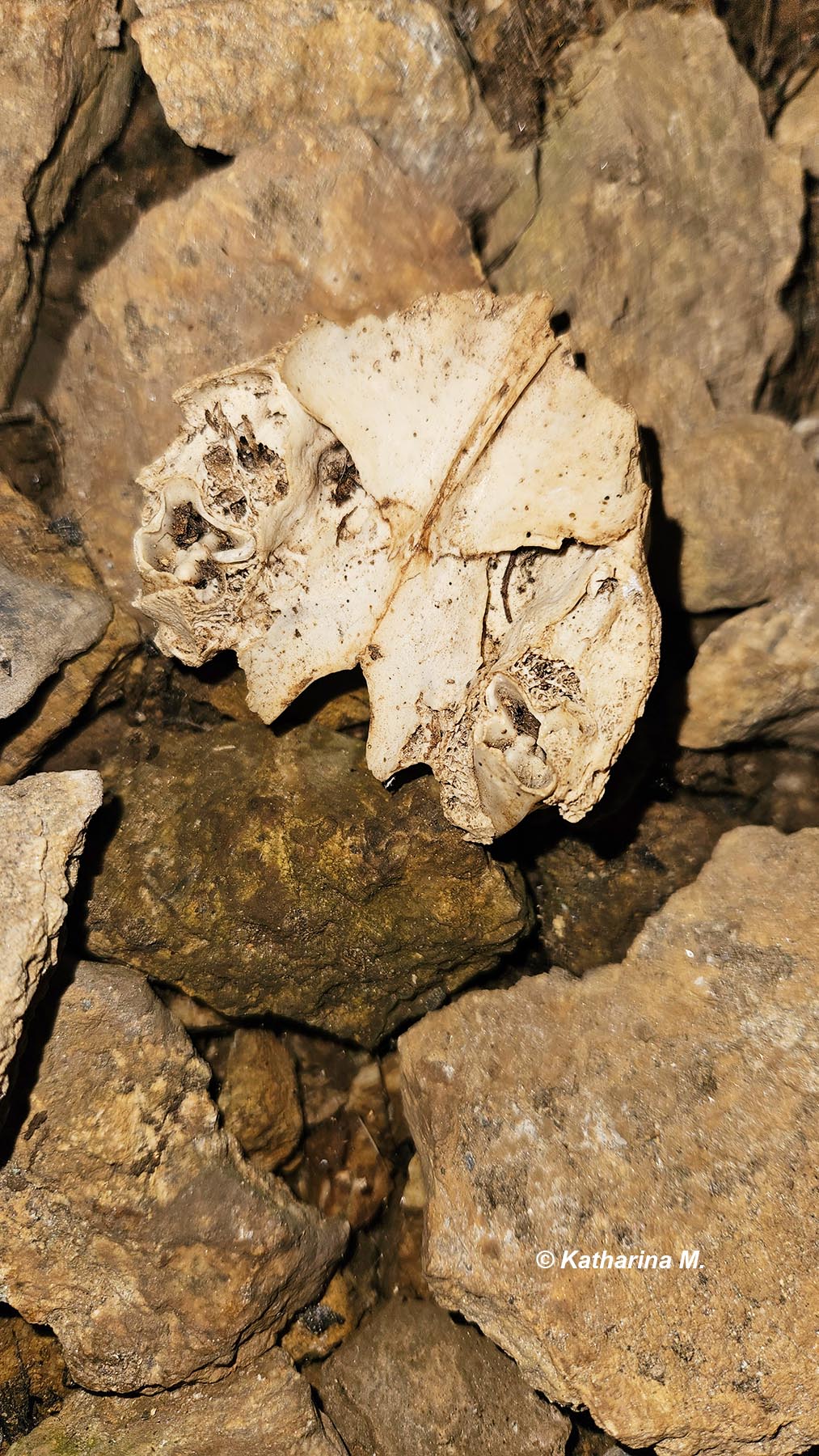 Bergwerk Knappenkuchl Stollen