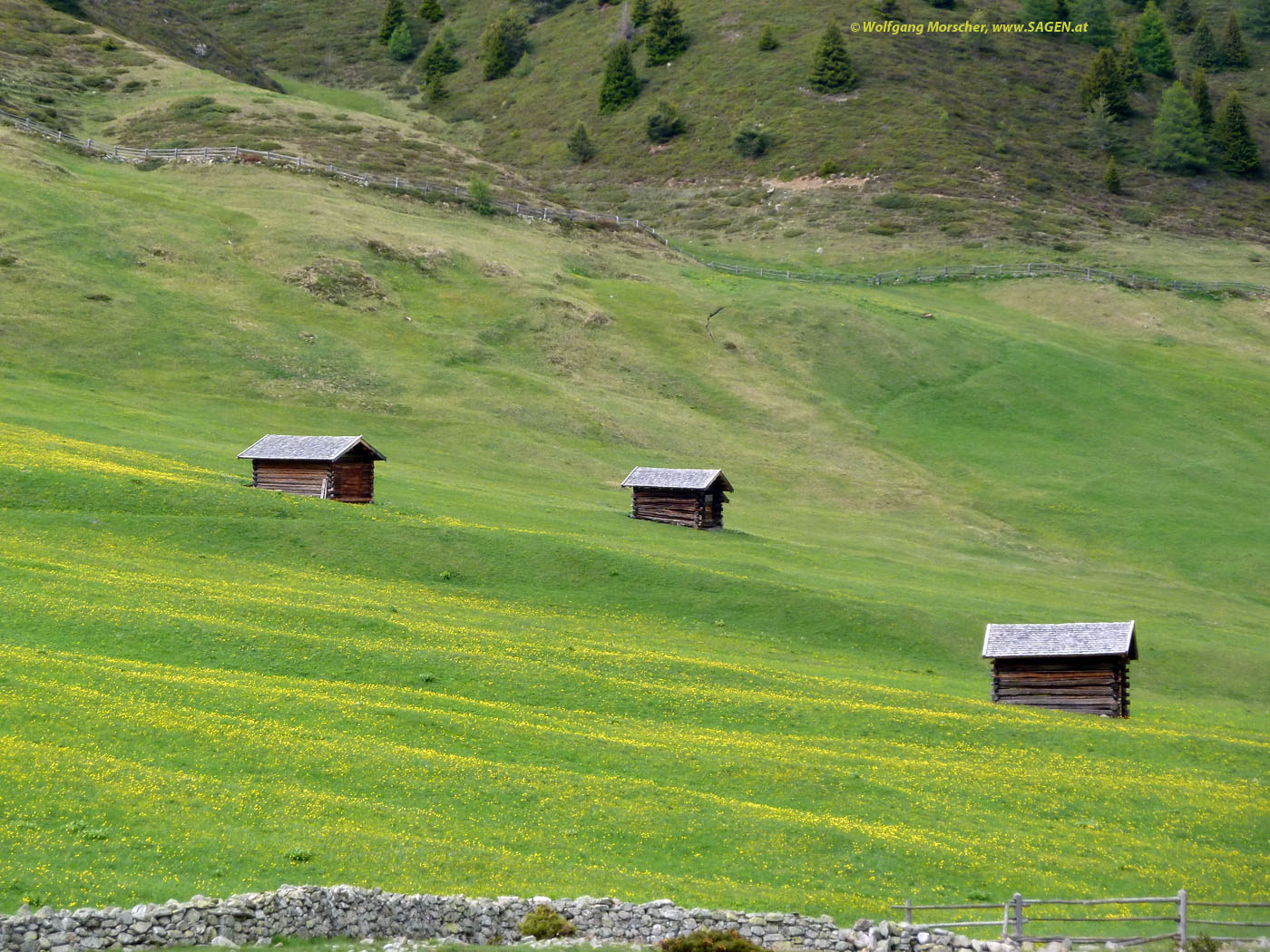 Bergwiesen Rojental