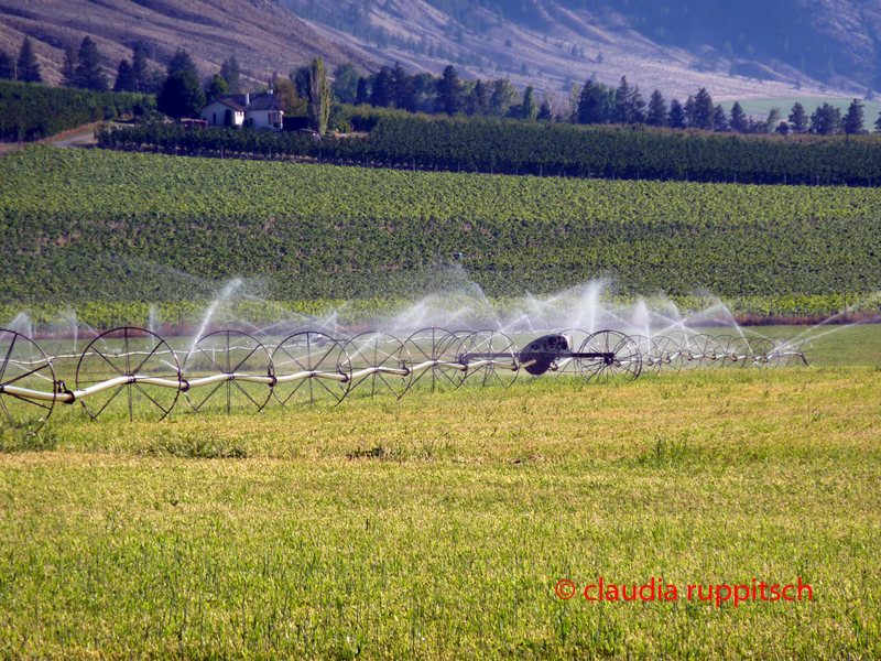 Bewässerungssystem im Similkameen Valley, Kanada