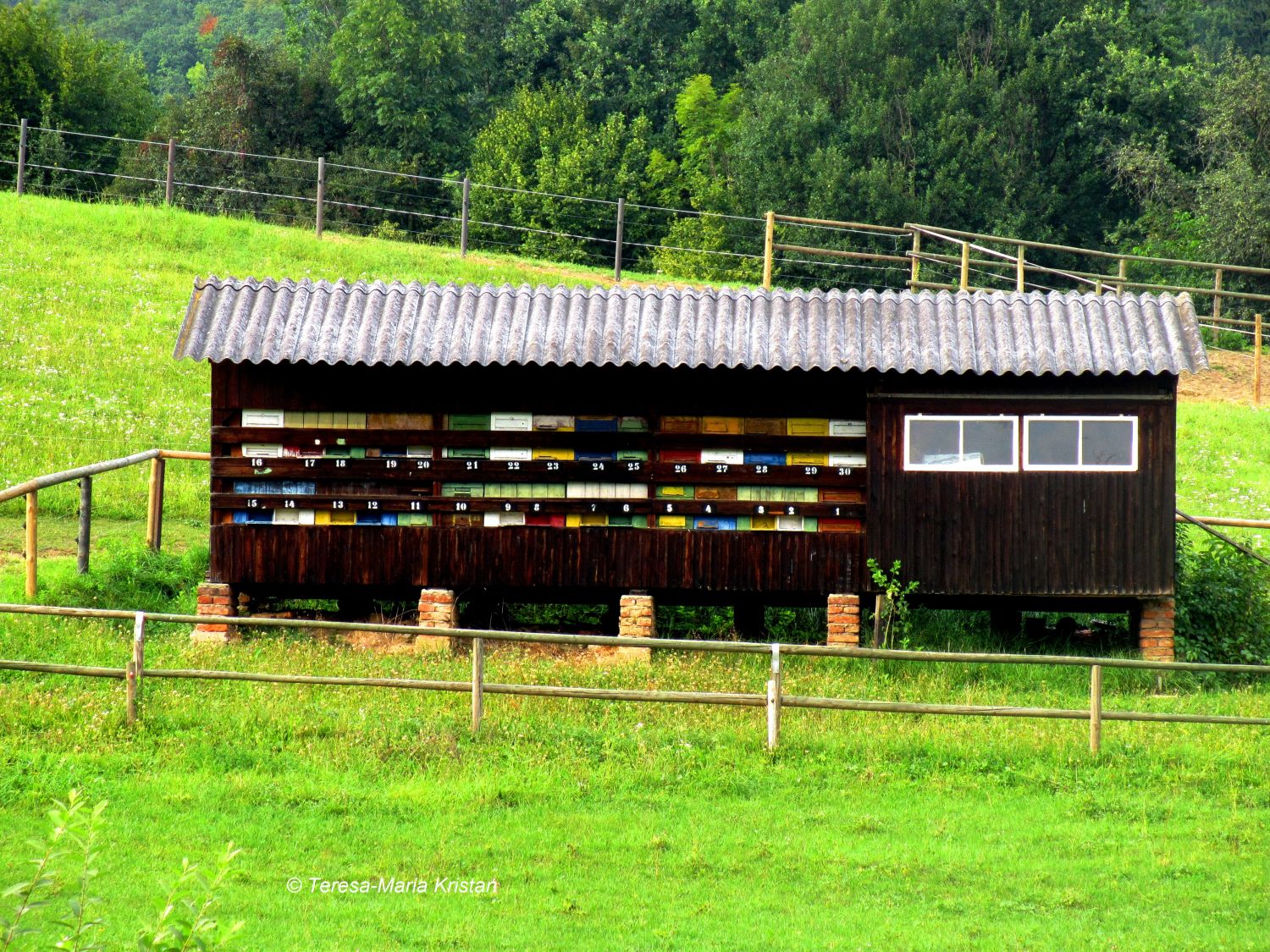 Bienenzucht Graz-Stattegg