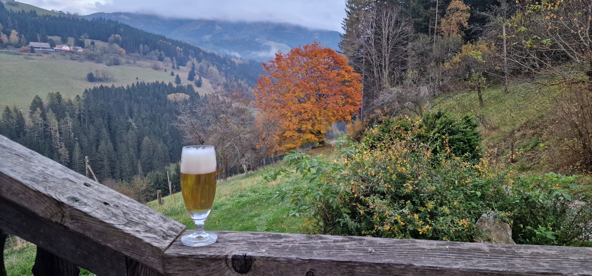 Bier mit Aussicht auf der Reiterhube bei Obdach