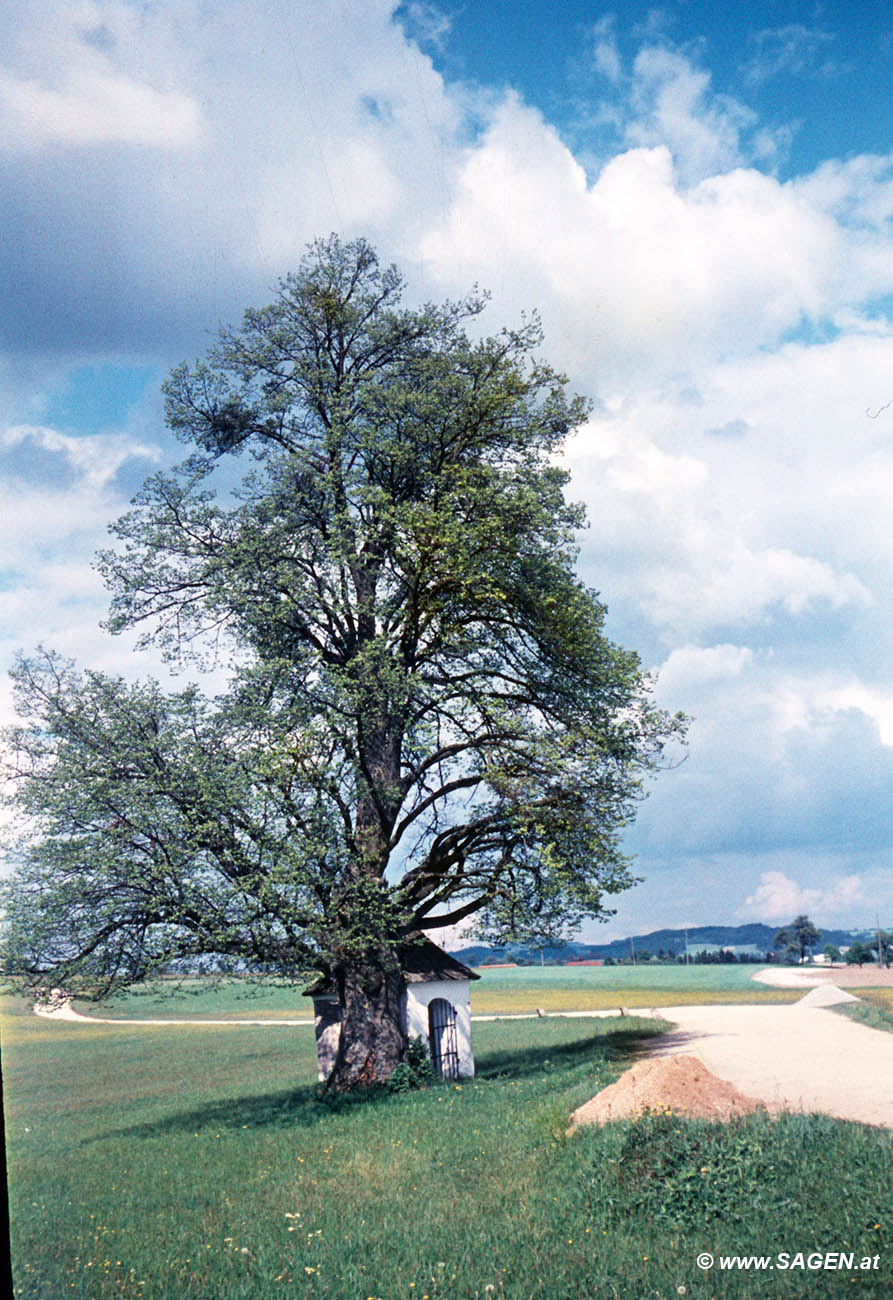 Bildstock bei Herzogsdorf