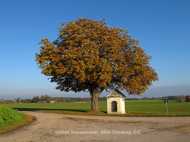 Bildstock im Herbst