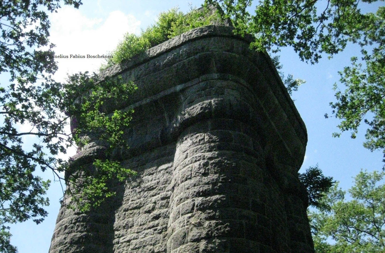 Bismarck Feuersäule von Aumühle