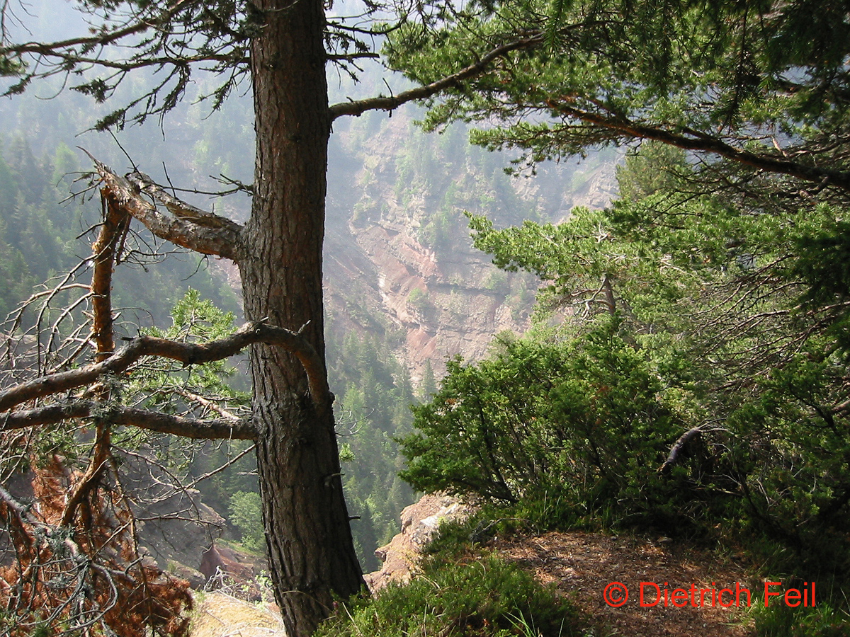 Bletterbach-Schlucht bei Aldein/Südtirol