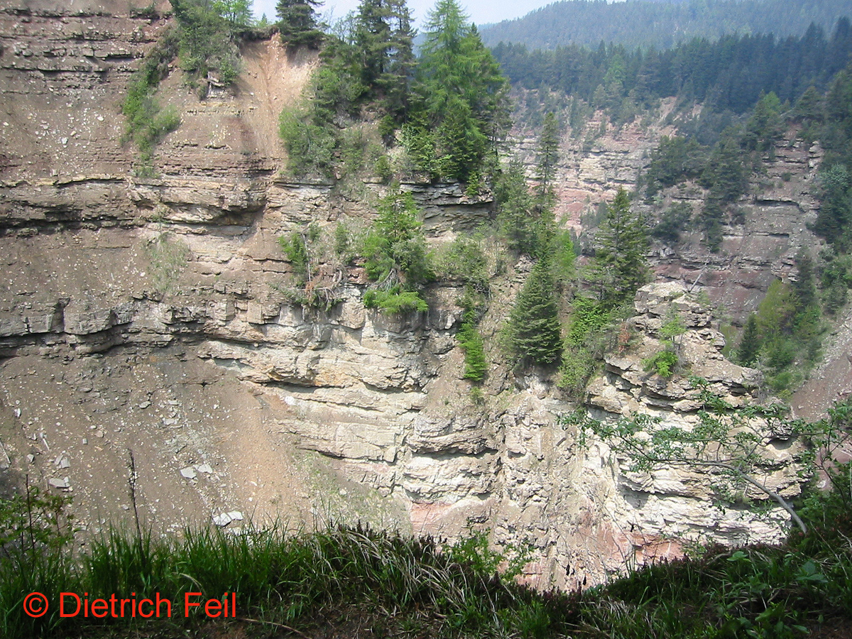 Bletterbach-Schlucht bei Aldein/Südtirol