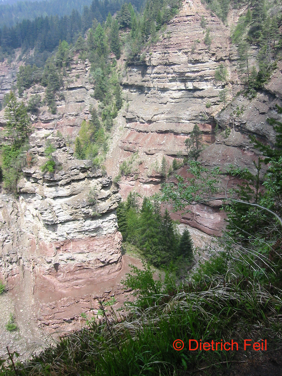 Bletterbach-Schlucht bei Aldein/Südtirol