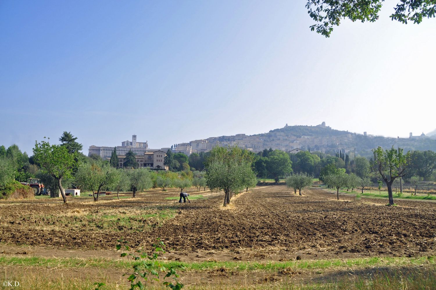 Blick auf Assisi von Rivotorto aus