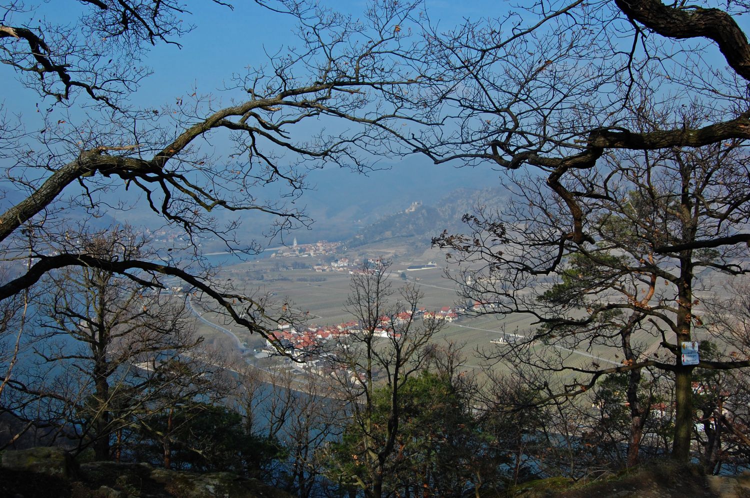 Blick auf die Donau von der Ferdinandswarte aus