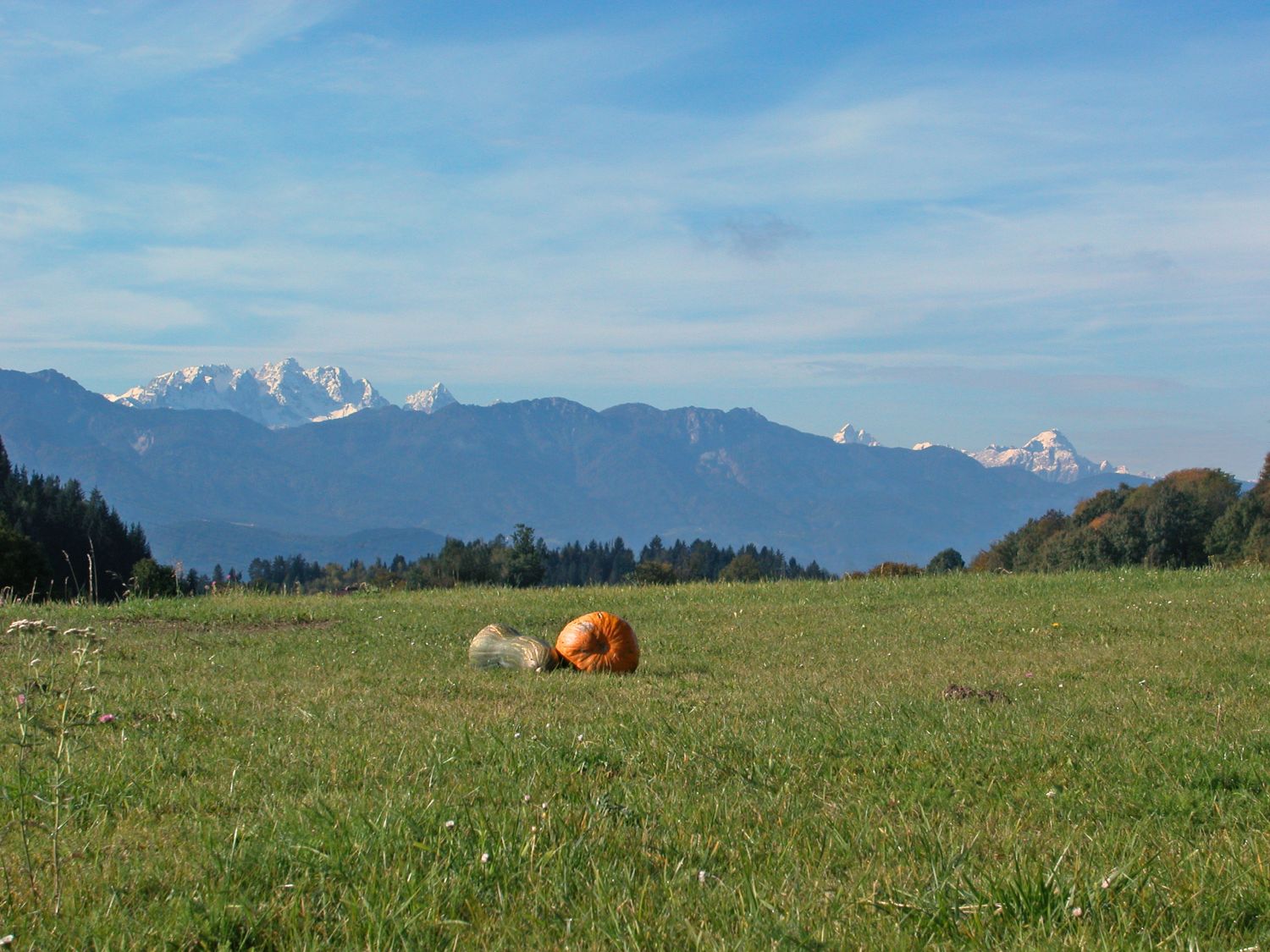 Blick auf die Karawanken von St.Martin am Techelsberg