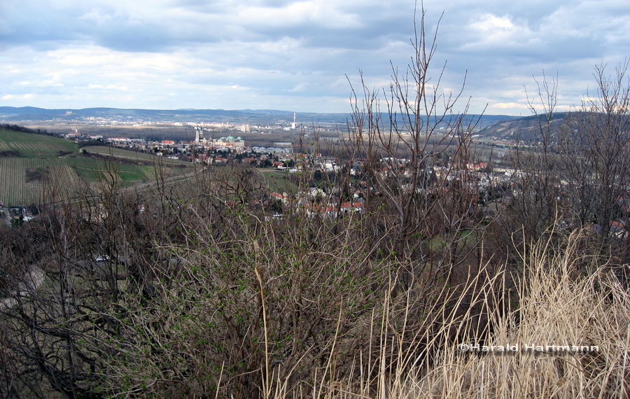 Blick auf  Klosterneuburg