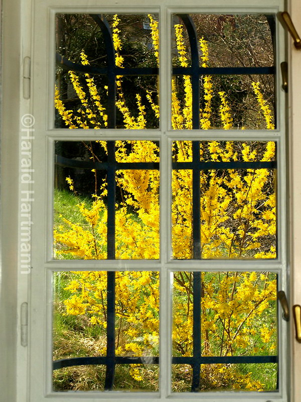 Blick aus dem Fenster