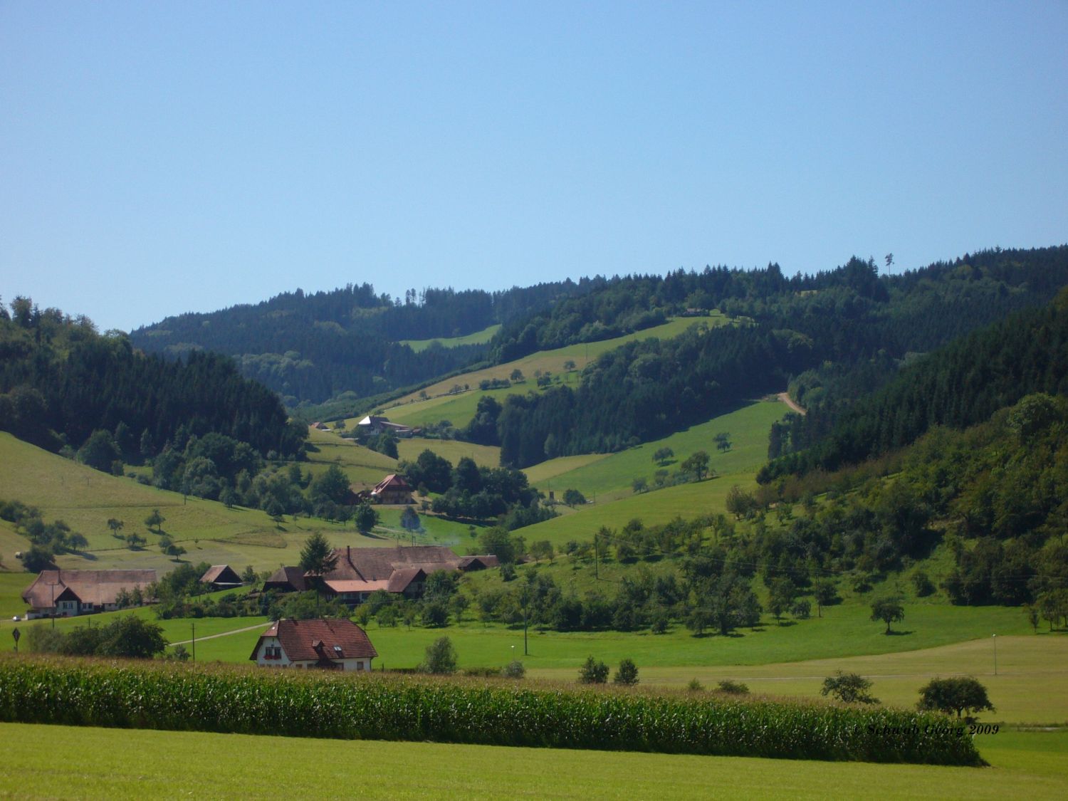 Blick Richtung Elmighof in Welschensteinach