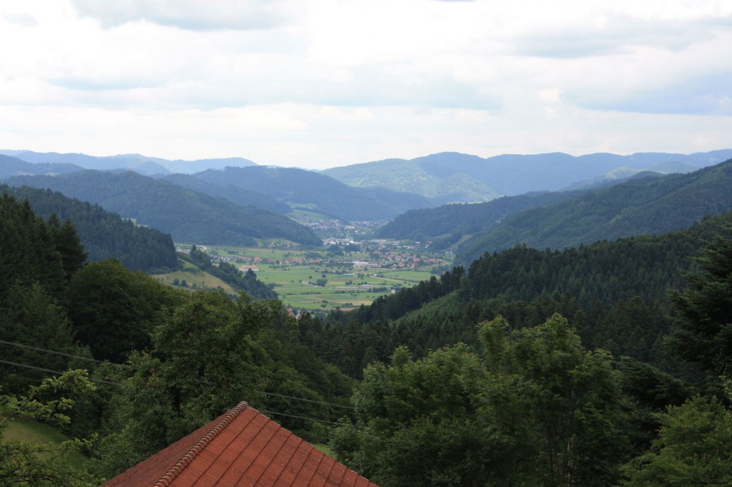 Blick vom Dochbach ins Kinzigtal Richtung Bollenbach