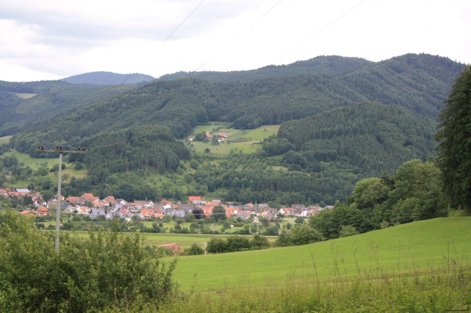 Blick vom Dochbach ins Kinzigtal Richtung Bollenbach