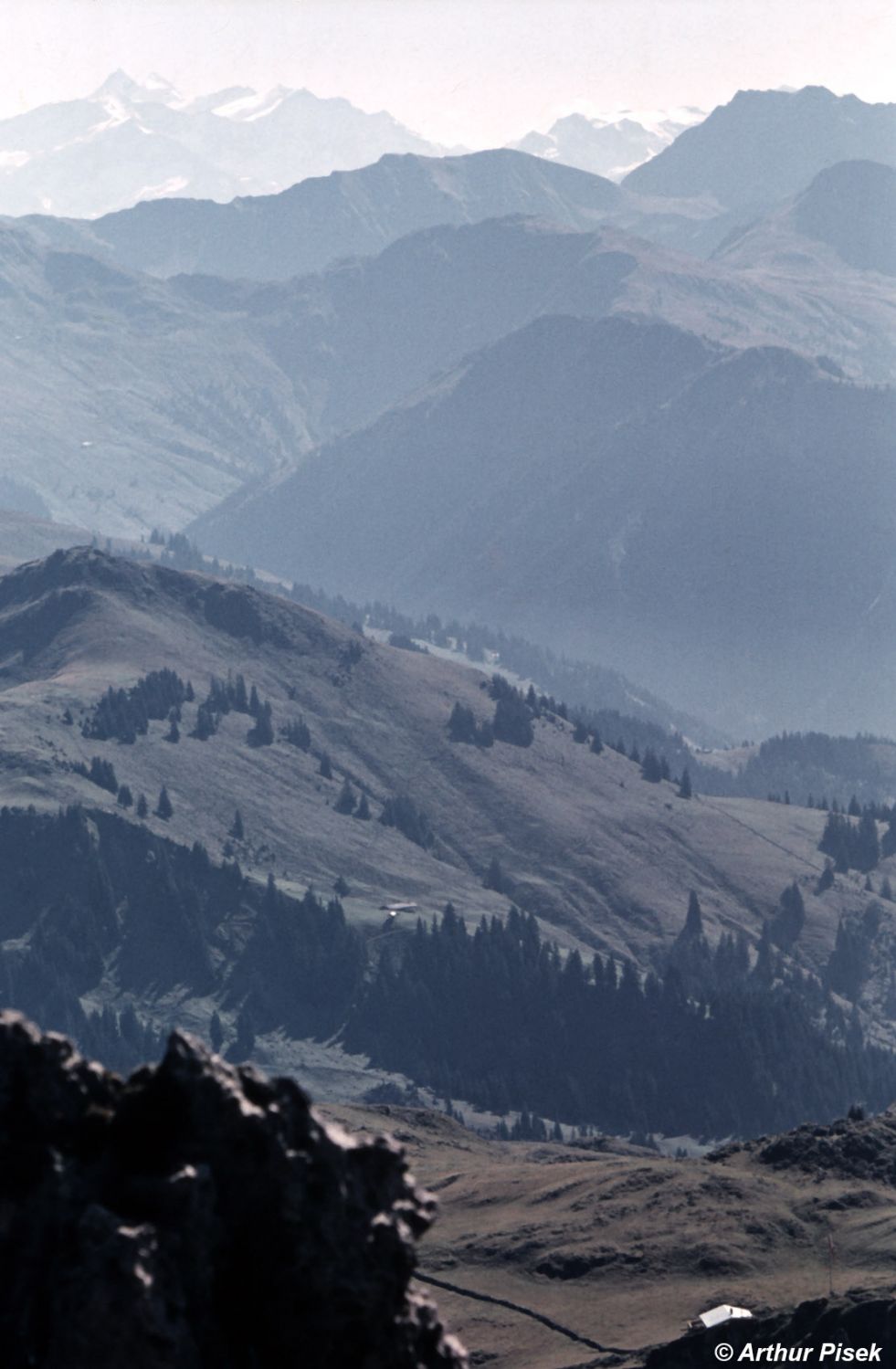 Blick vom Kitzbüheler Horn Richtung Glockner