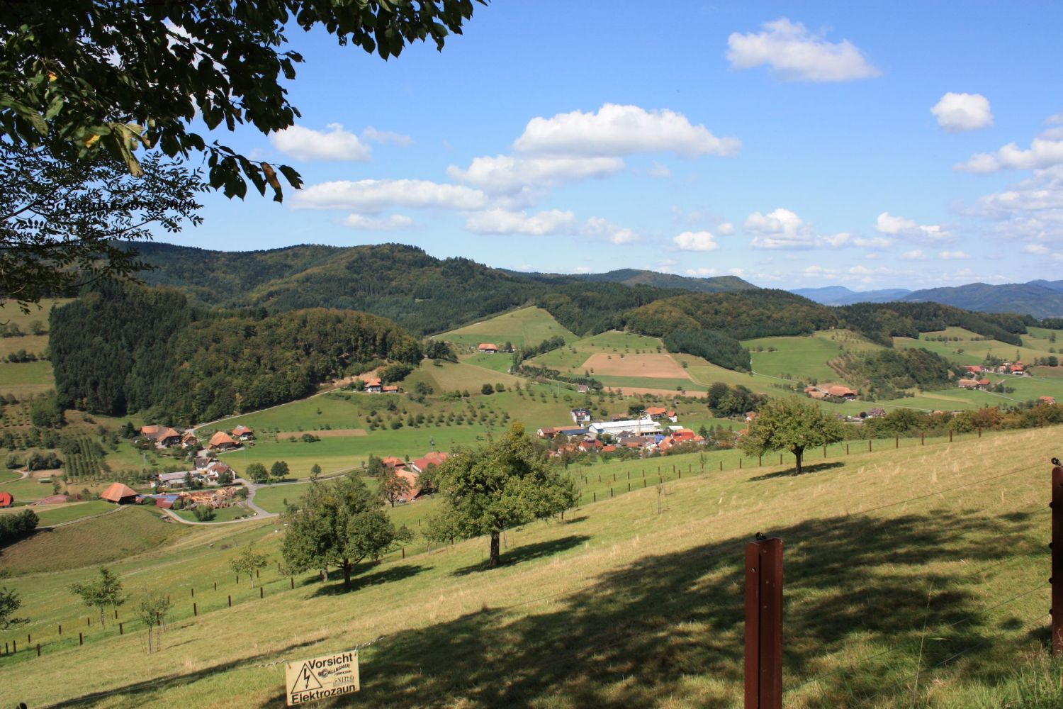 Blick von der Christ ins Tal 01