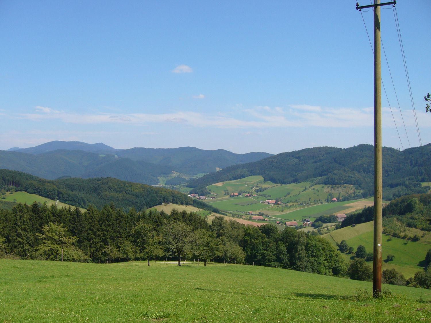 Blick vons Holzersbühl in Richtung Steinach