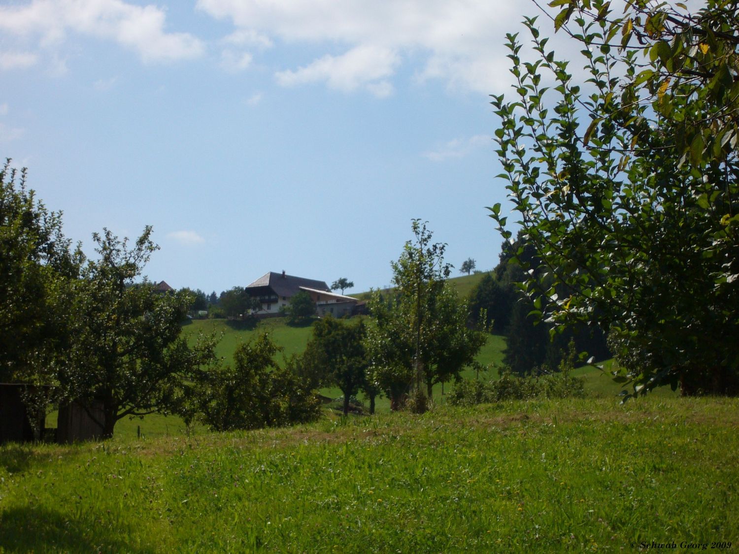 Blick zum Elmighof in Welschensteinach