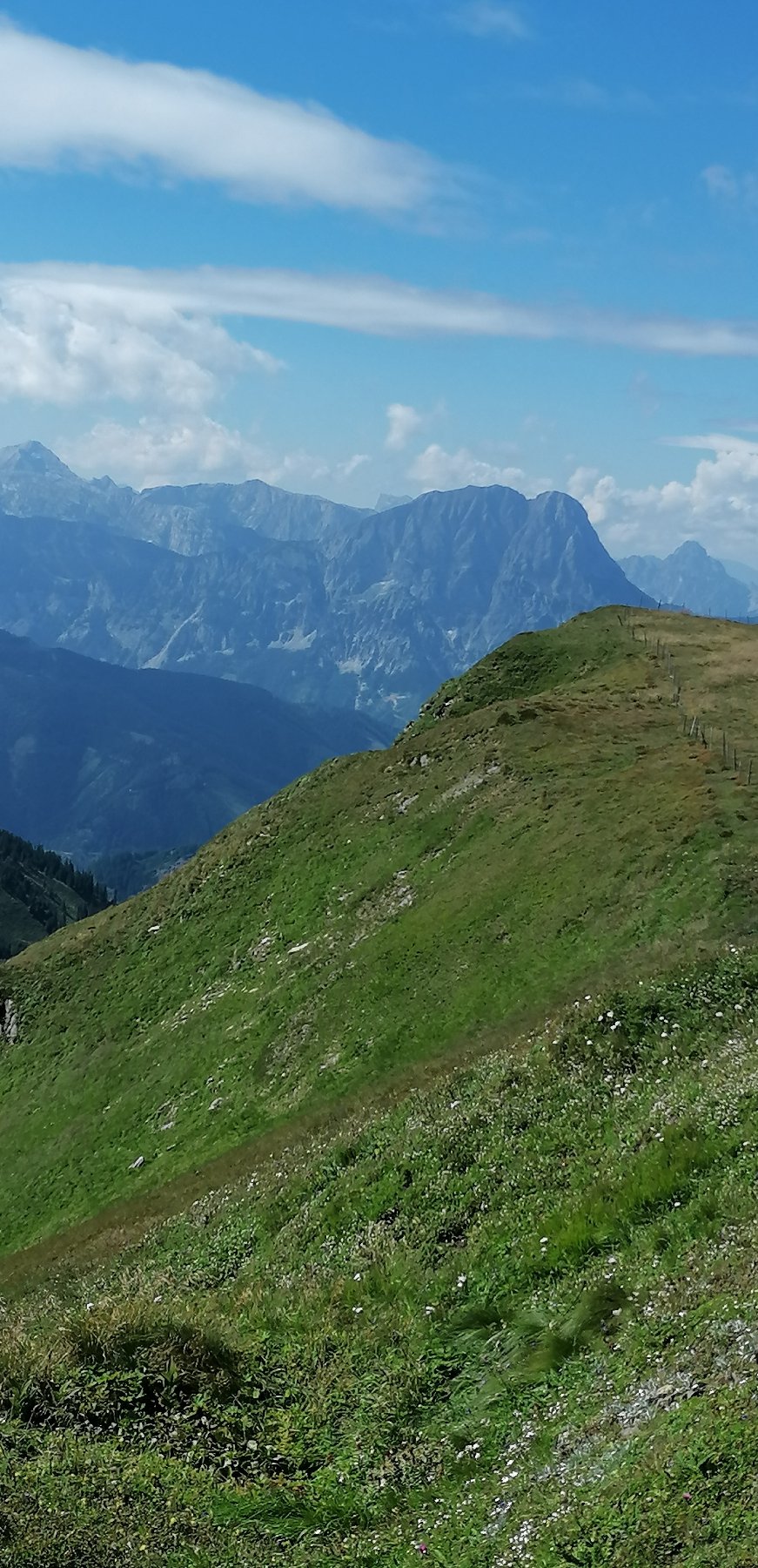 Blick zum Lugauer (2217 m) vom Wildfeld (2043 m) aus