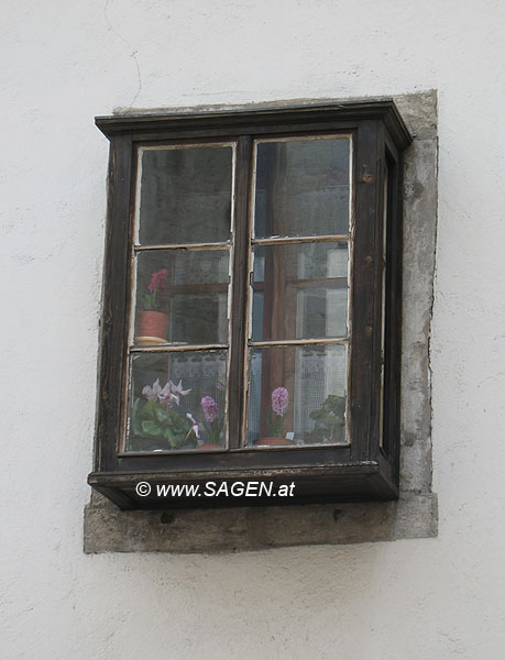 Blumenfenster in Trient (Trento)