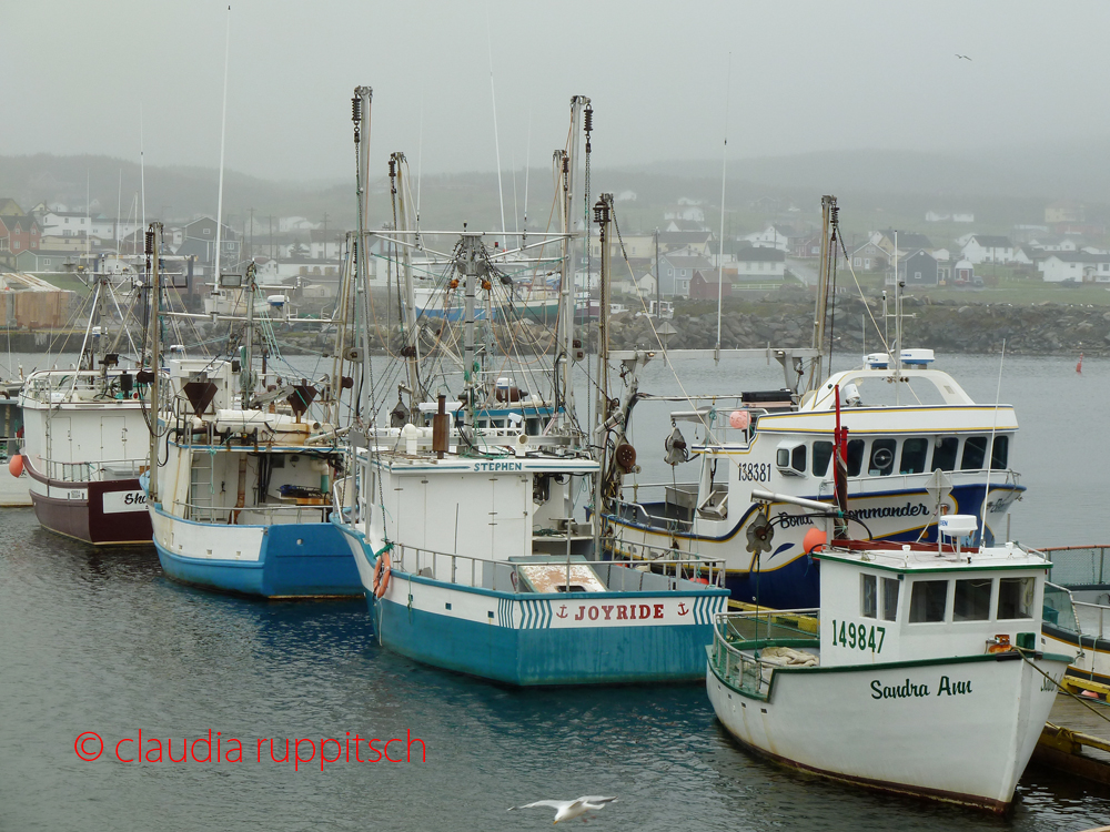 Bonavista, Newfoundland and Labrador