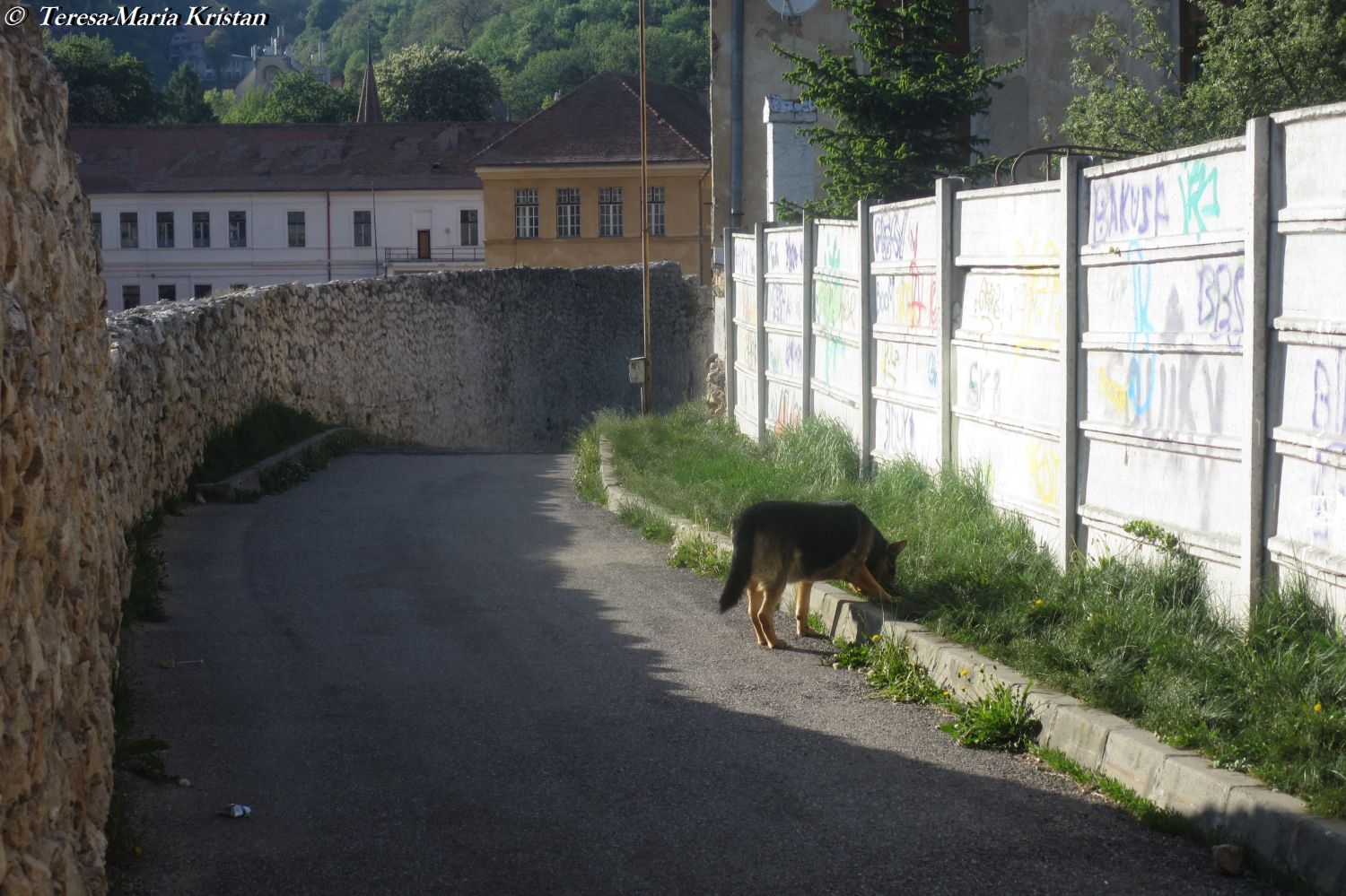 Brasov- an der alten Stadtmauer