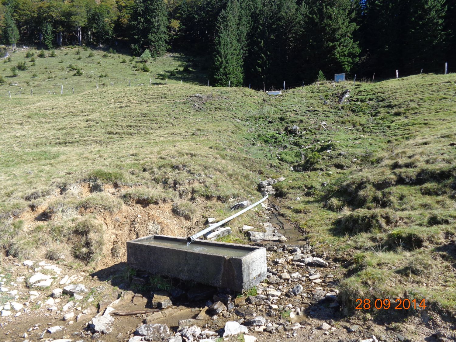 Brunnen auf der Alm